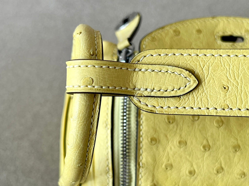 new-luxury-designer-bags-nm23885