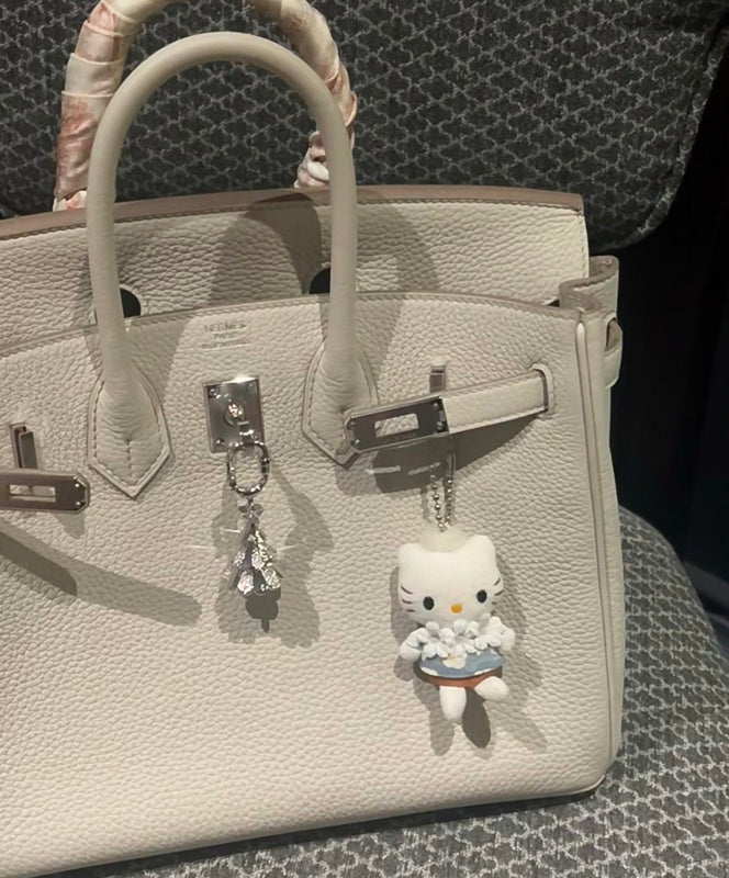 new-designer-premium-bags-nm23399