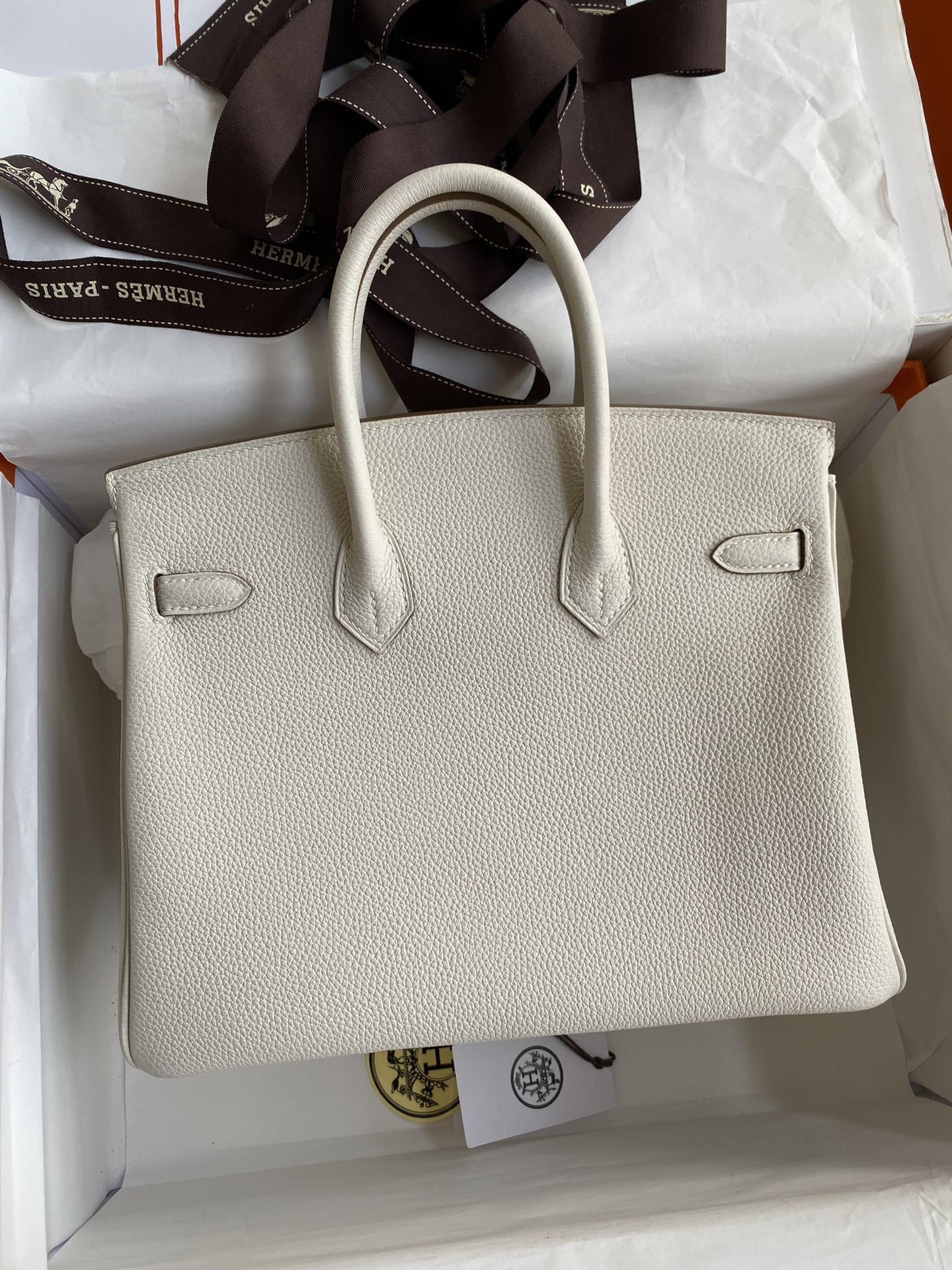 new-luxury-designer-bags-nm22981