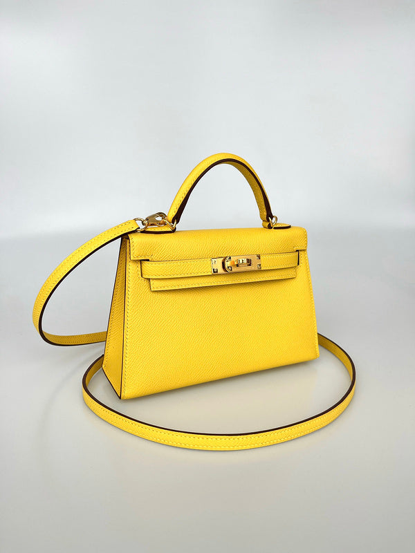 new-elite-designer-bags-nm23873
