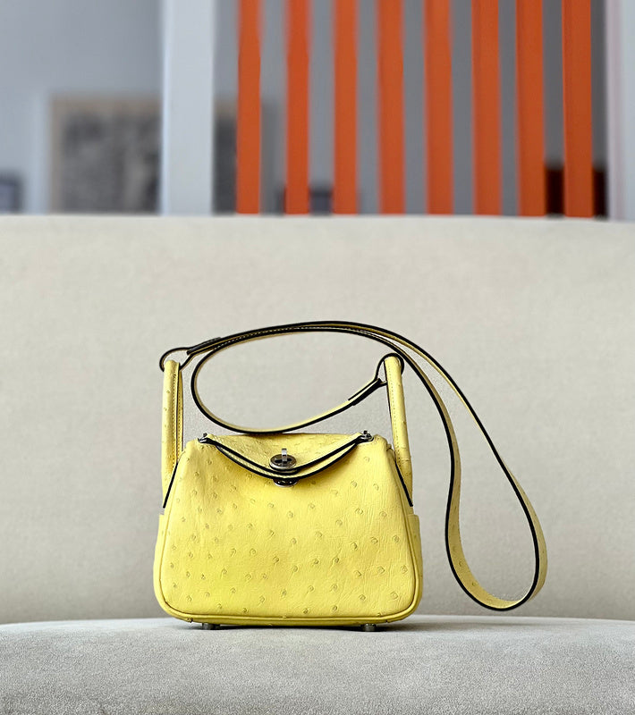 new-luxury-designer-bags-nm23885