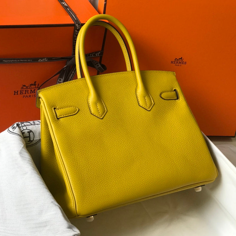 new-luxury-designer-bags-nm23783