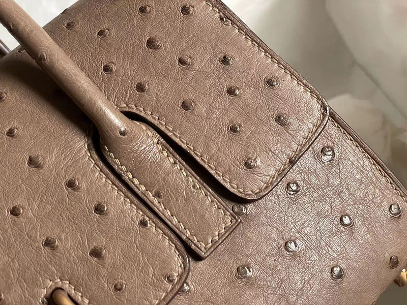 new-luxury-designer-bags-nm23851