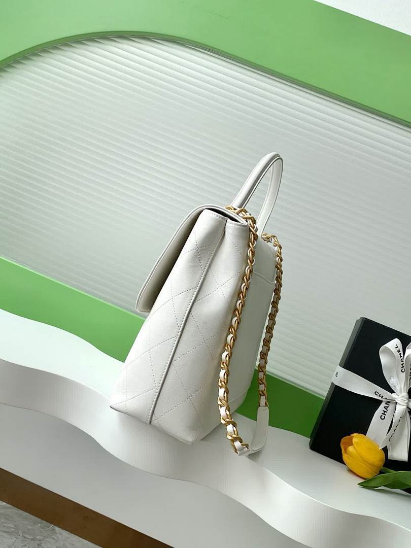 Anum Bags - High-Quality Designer Products for You - AFFORDABLE LUXURY BAGS - 17698