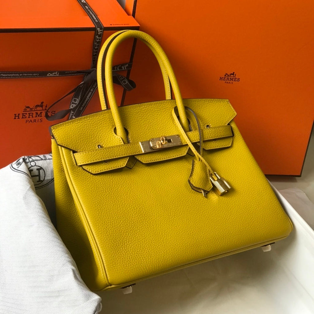 new-designer-premium-bags-nm23180