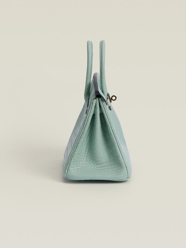 new-luxury-designer-bags-nm23855