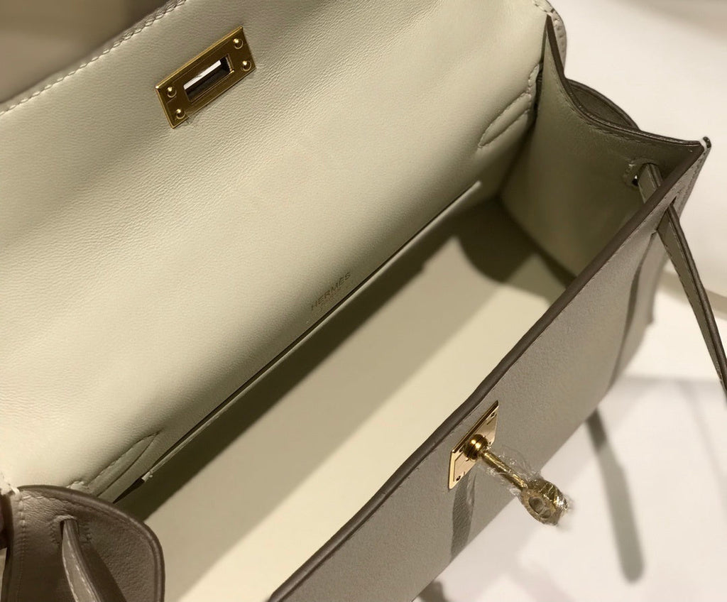 new-luxury-designer-bags-nm23115