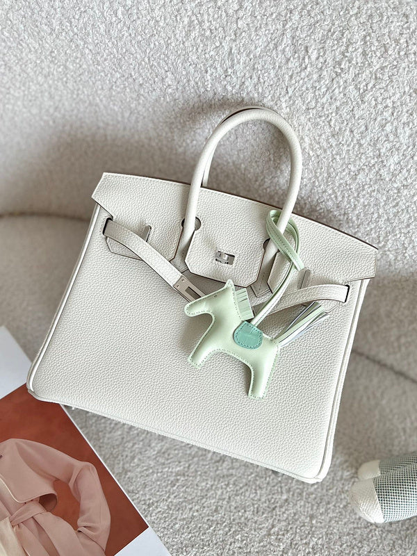 new-luxury-designer-bags-nm23781