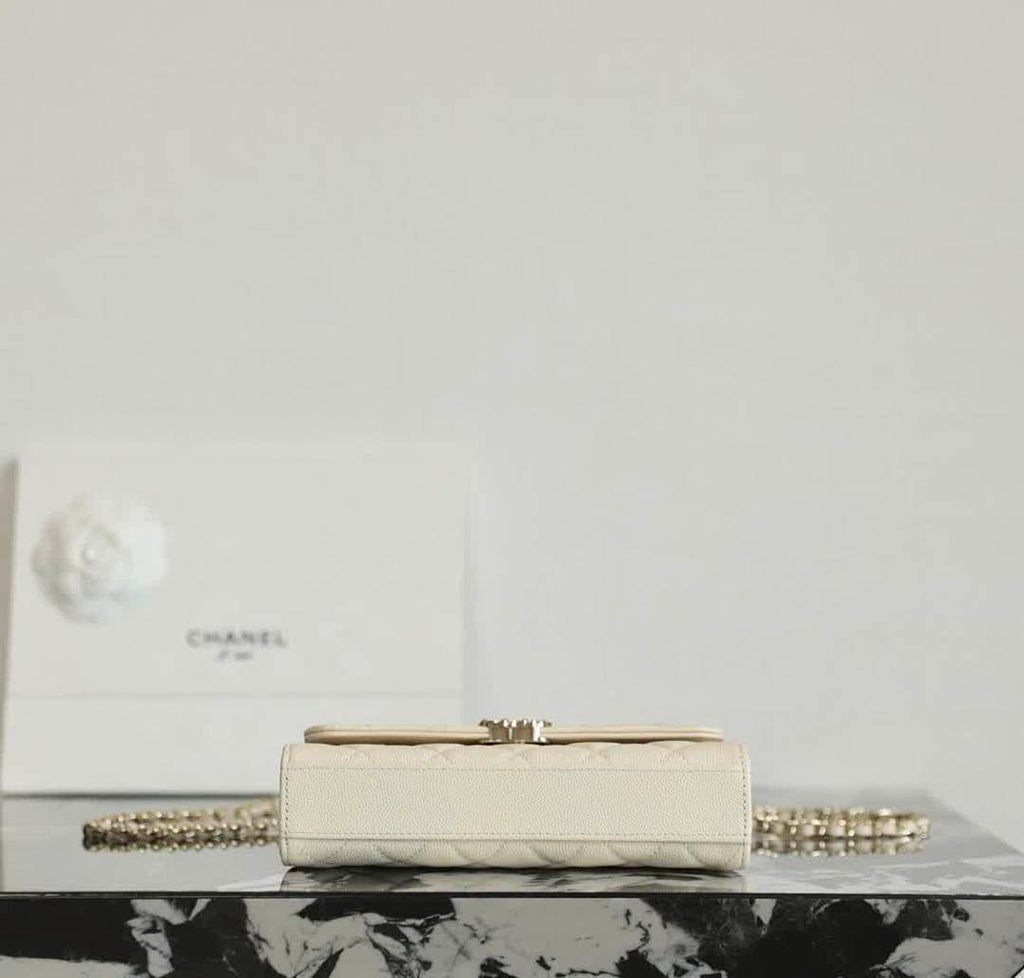 Anum Bags - DESIGNER BAGS FOR WOMEN - AFFORDABLE LUXURY BAGS - 17907