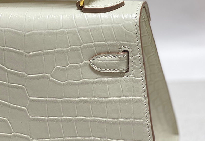 new-luxury-designer-bags-nm23533