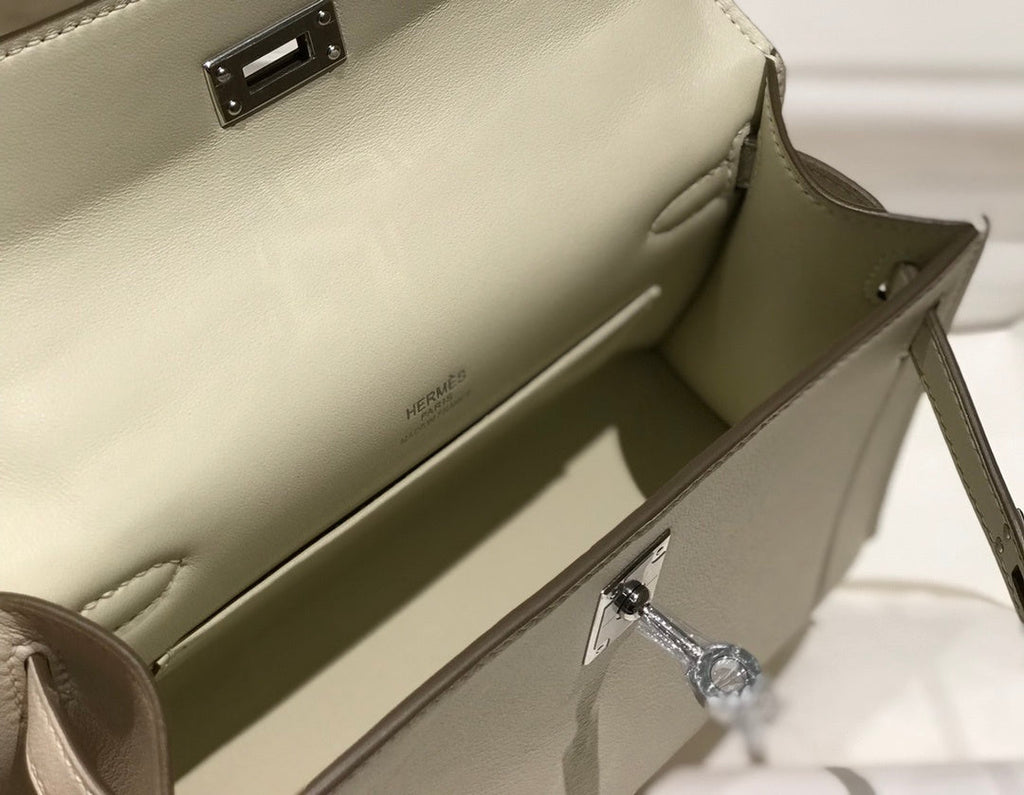 new-luxury-designer-bags-nm23114