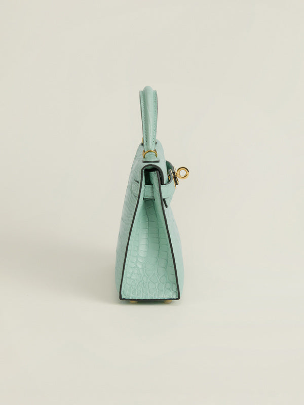 new-designer-premium-bags-nm23925