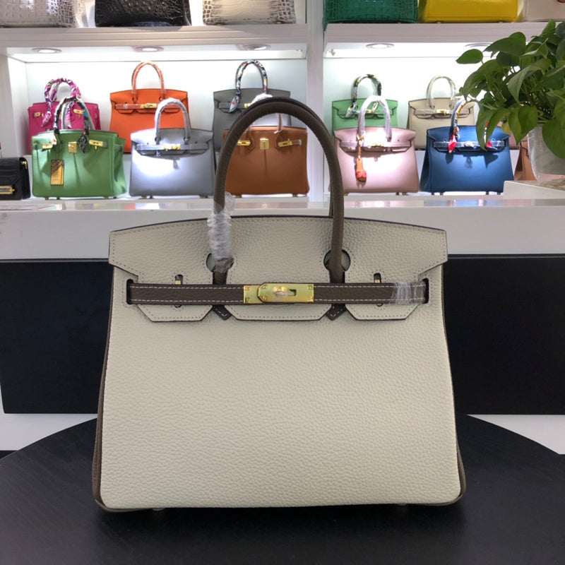 new-luxury-designer-bags-nm23526