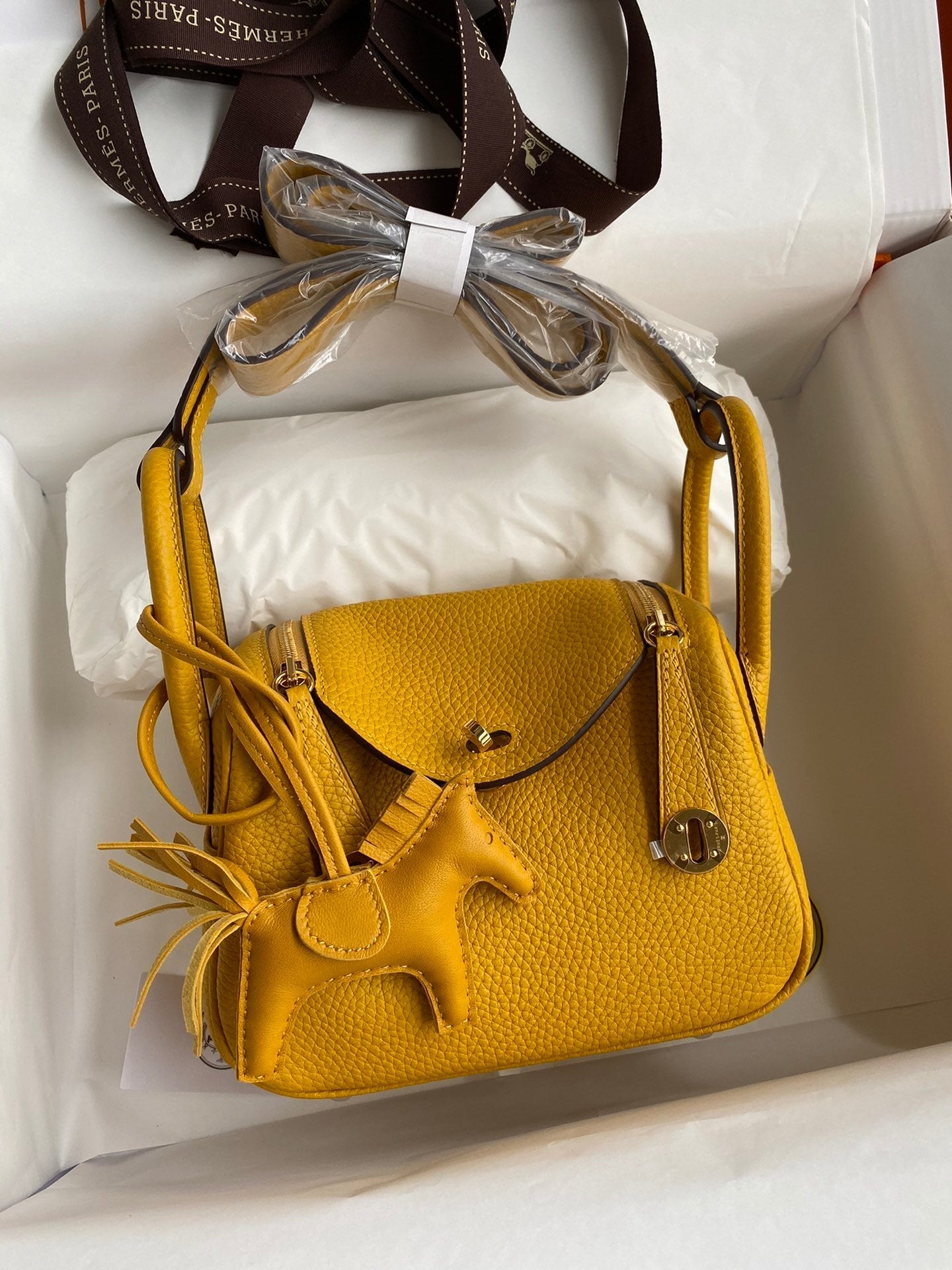 new-elite-designer-bags-nm23050