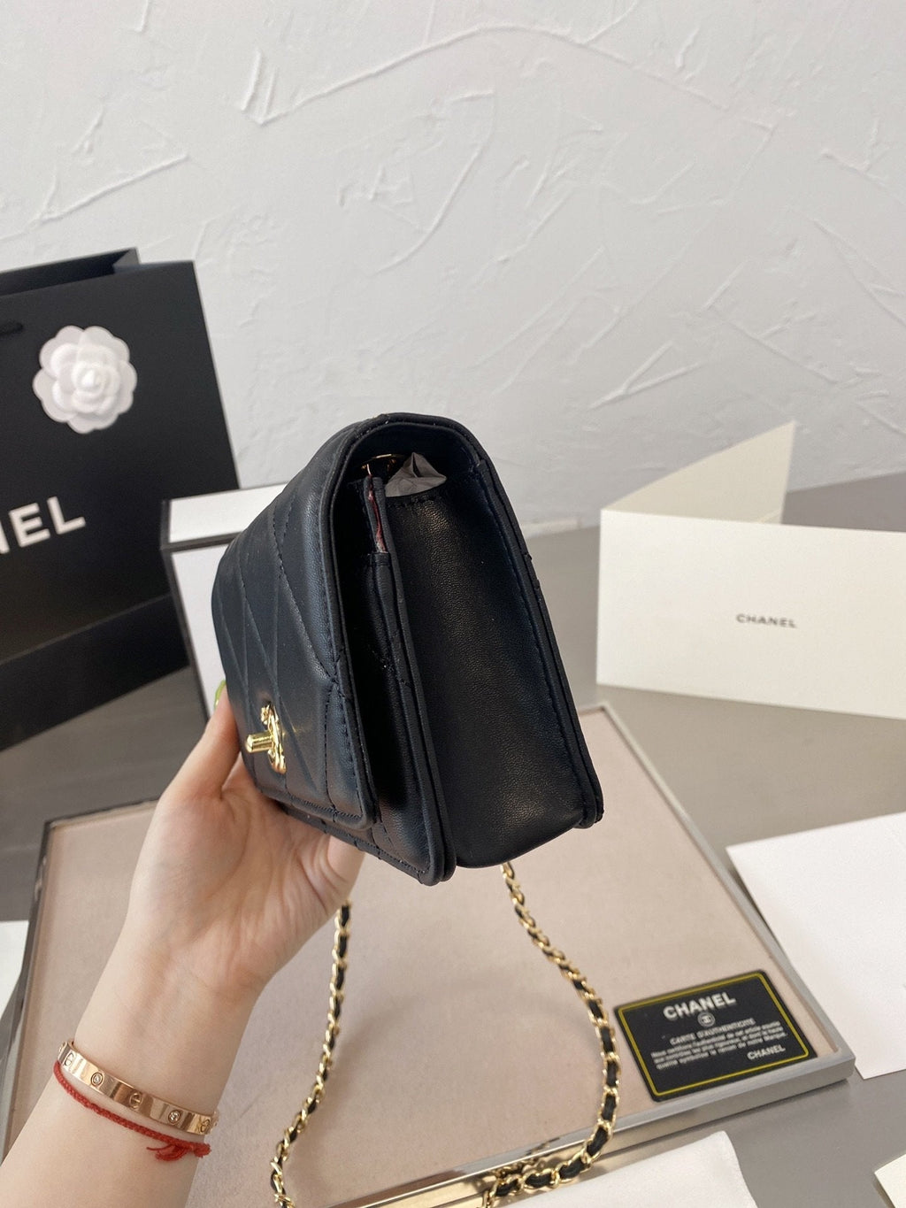 Anum Bags Bags CHL 054