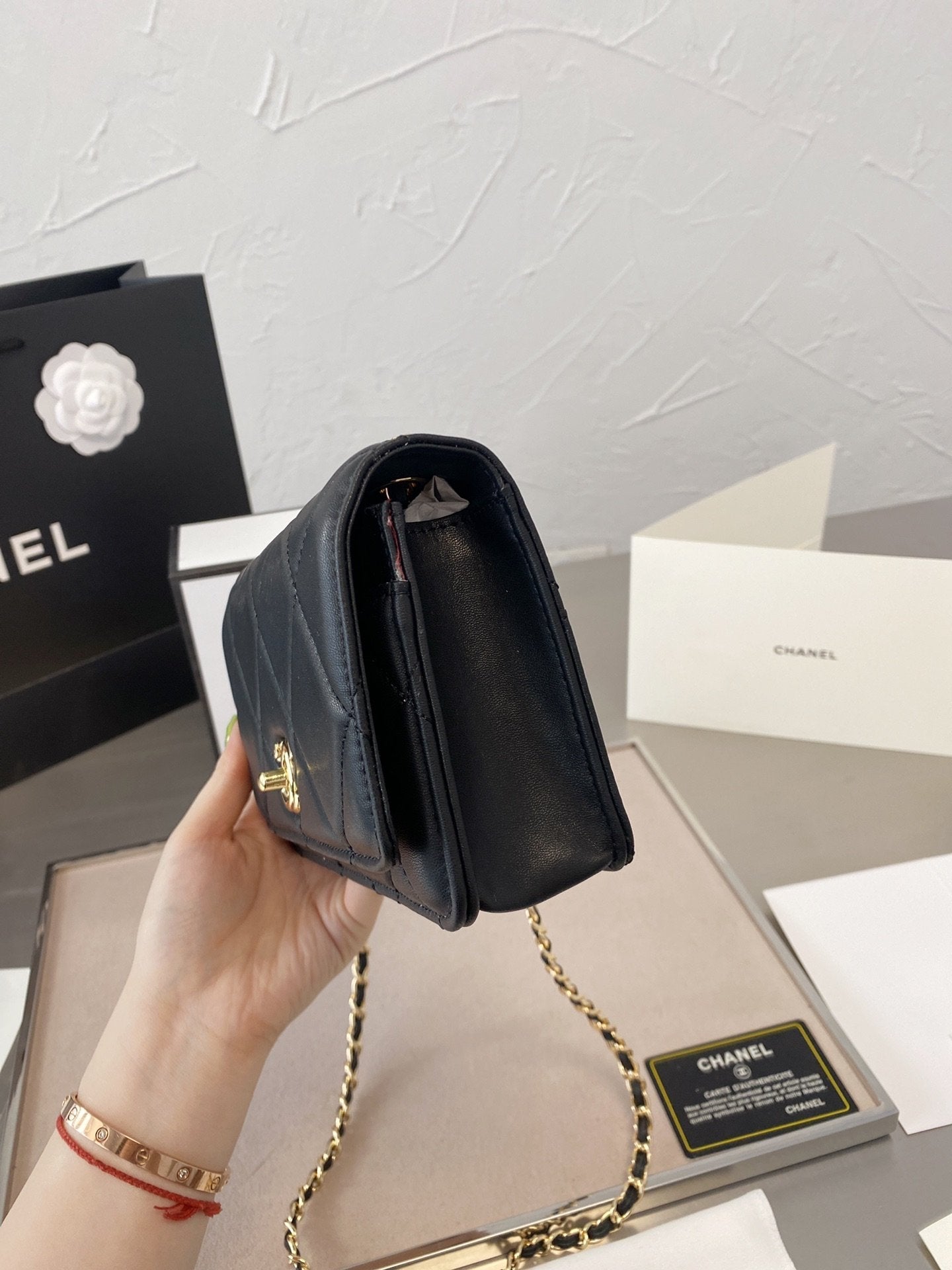Anum Bags Bags CHL 054