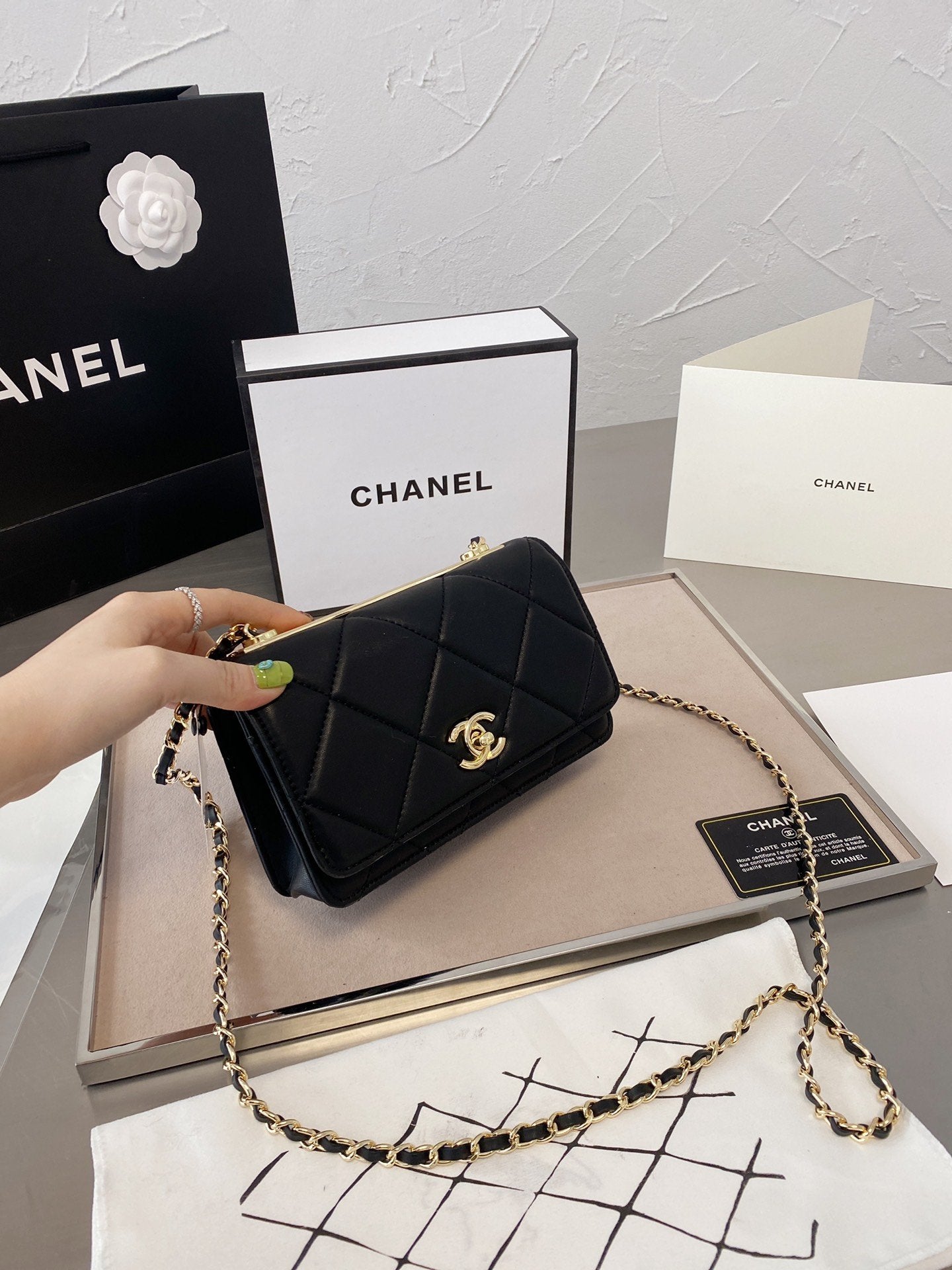 Anum Bags Bags CHL 054