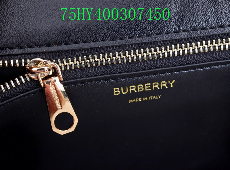 Ezyycart Bags Fan Fashion -MV - Top quality BBR Bags - 310