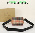 Ezyycart Bags Fan Fashion -MV - Top quality BBR Bags - 243