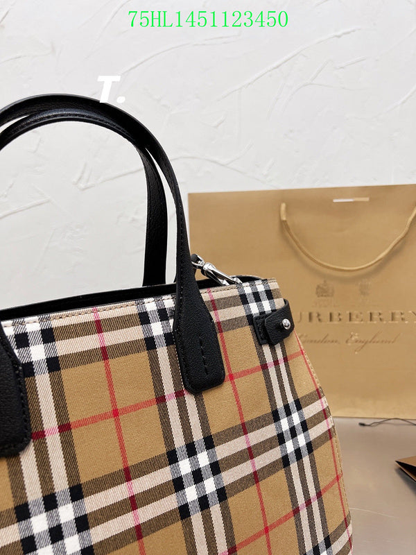 Ezyycart Bags Fan Fashion -MV - Top quality BBR Bags - 364