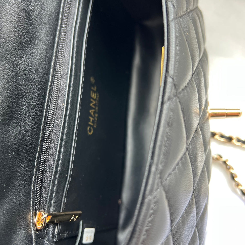 Anum Bags Elite Carryalls