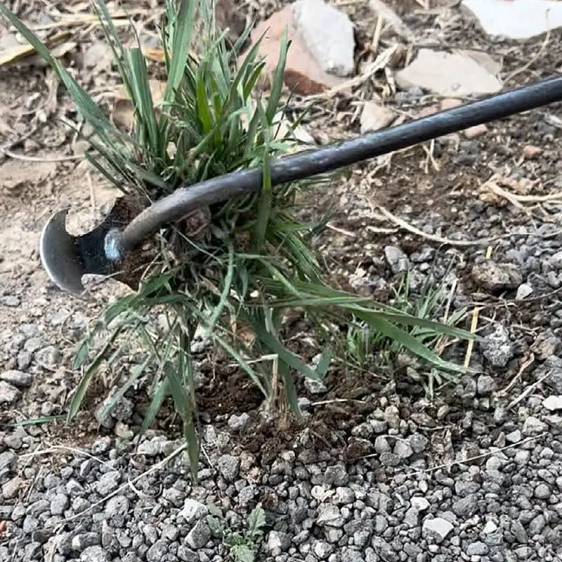WeedMaster™ – Innovatives Unkrautentfernungswerkzeug mit ergonomischem Griff