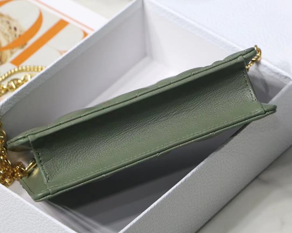 Ezyycart Bags dir CARO ZIPPED POUCH WITH CHAIN CEDAR GREEN S5106UWHC_M67H