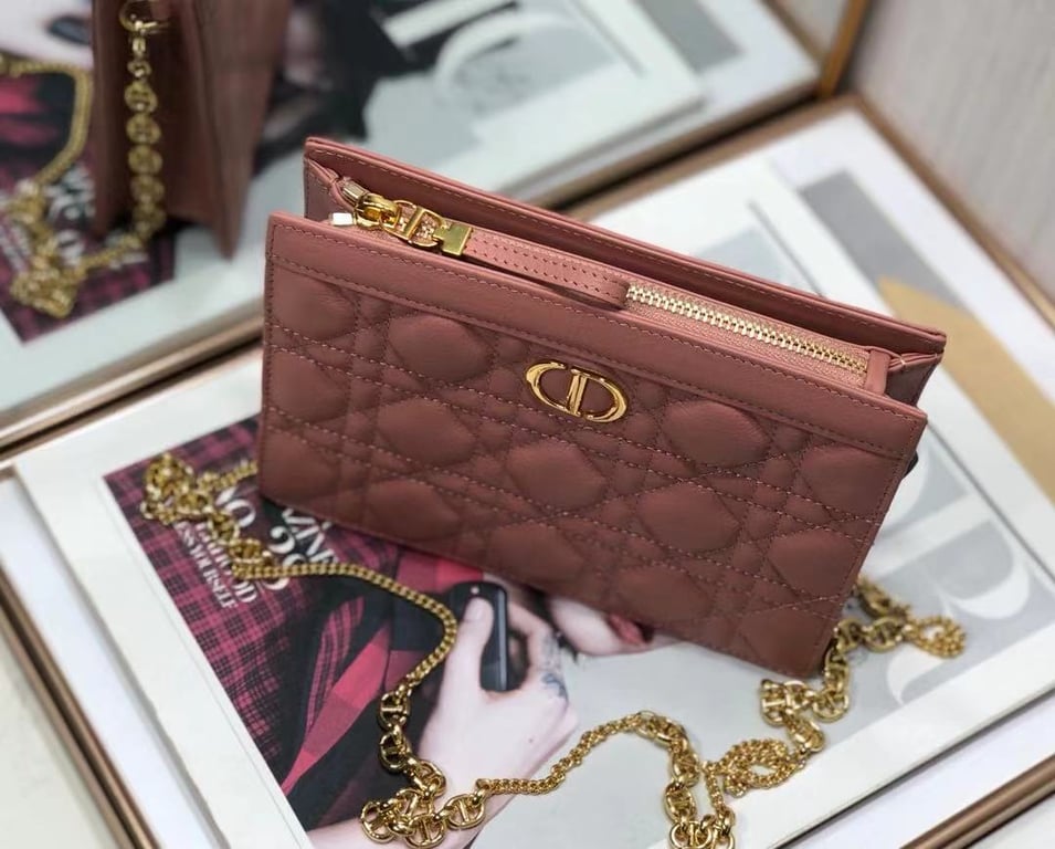 Ezyycart Bags dir CARO ZIPPED POUCH WITH CHAIN DUSTY CORAL PINK S5106UWHC_M76P