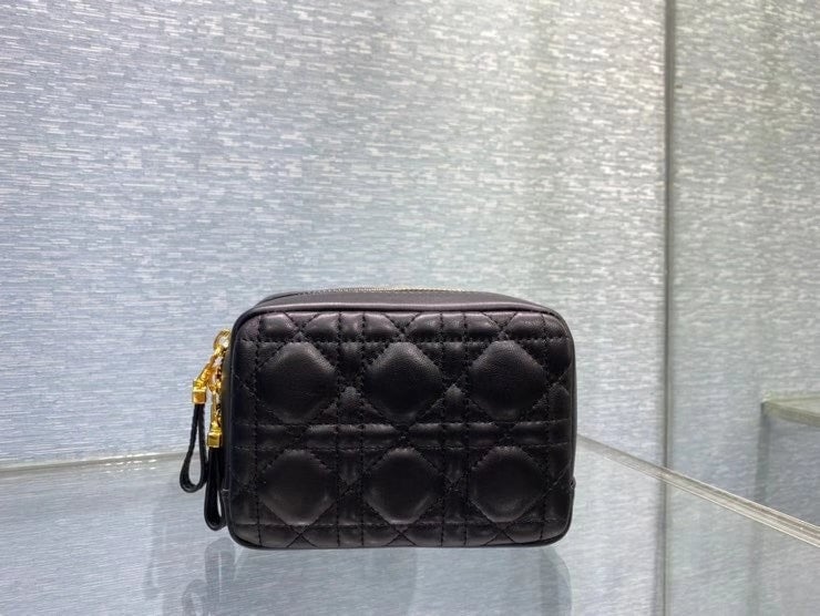 Ezyycart Bags dir SMALL CARO ZIPPED POUCH BLACK CANNAGE LAMBSKIN S5045UNSQ M900
