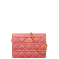 Ezyycart Bags dir CARO ZIPPED POUCH WITH CHAIN DUSTY CORAL PINK S5106UWHC_M76P
